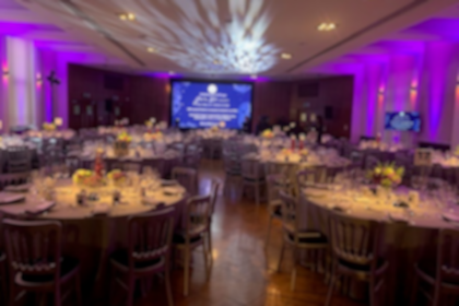 Banqueting suite/ conference space/ party space  3